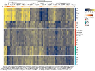 Insight into forensic efficiency and genetic structure of the Guizhou Dong group via a 64-plex panel